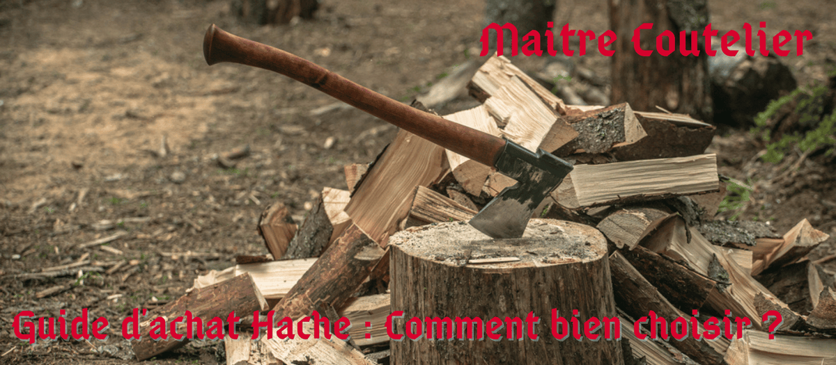 Guide d'achat Hache : comment bien choisir en 2025 Image