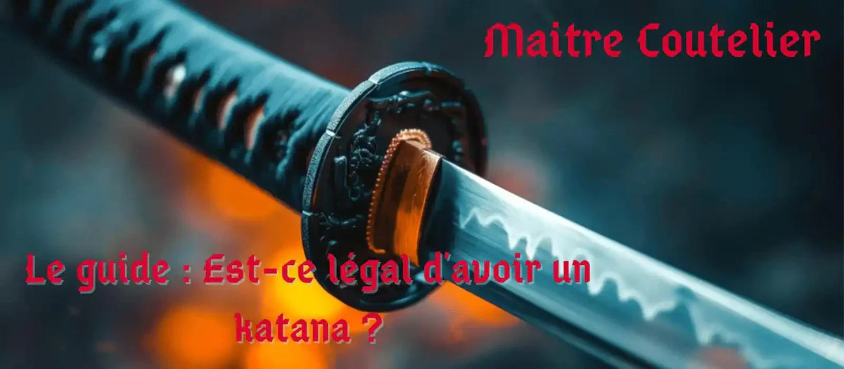 Le guide : Est-ce légal d'avoir un katana ? Image