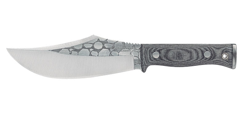 Bowie Gryphus Condor