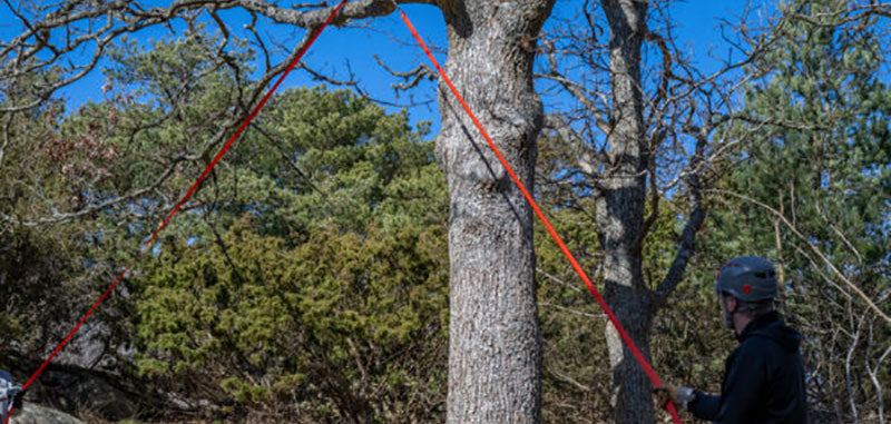 Kit Nordic Pocket Saw Arborist V.2 Orange/Noire