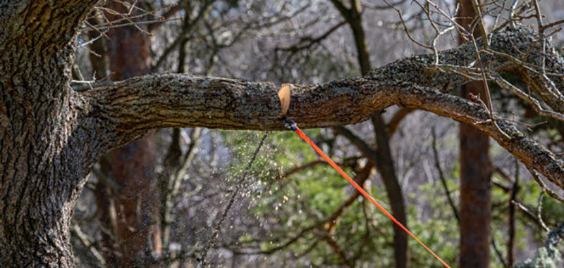Kit Nordic Pocket Saw Arborist V.2 Orange/Noire